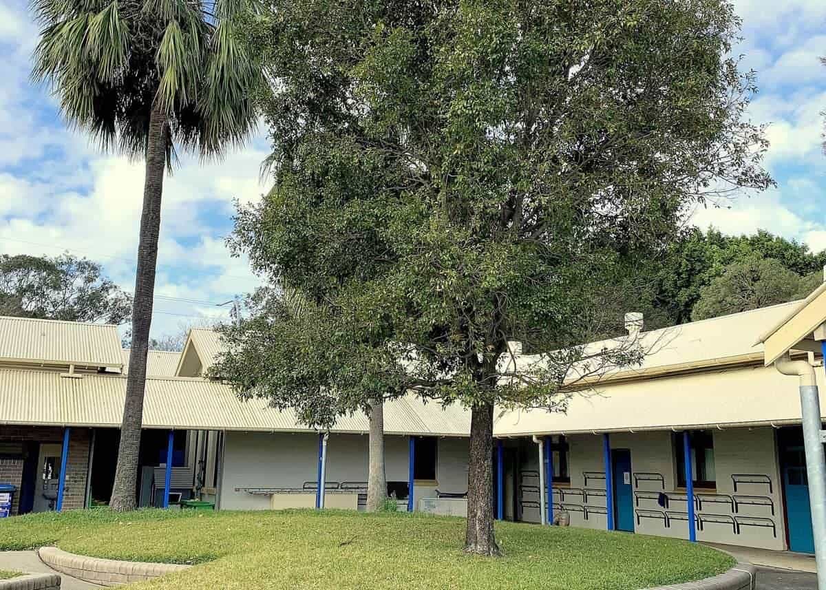 Single-storey school buildings with verandahs, palm trees and a lawn