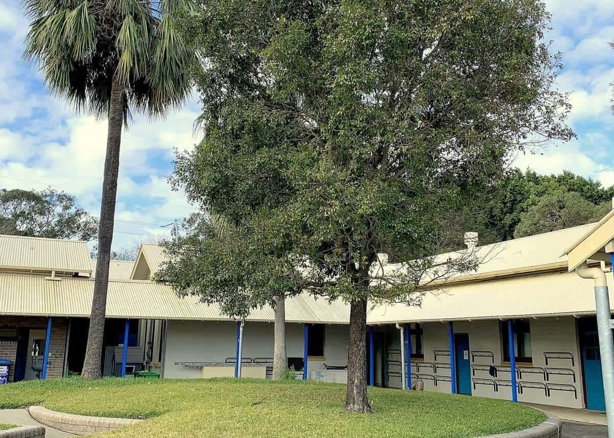 Single-storey school buildings with verandahs, palm trees and a lawn