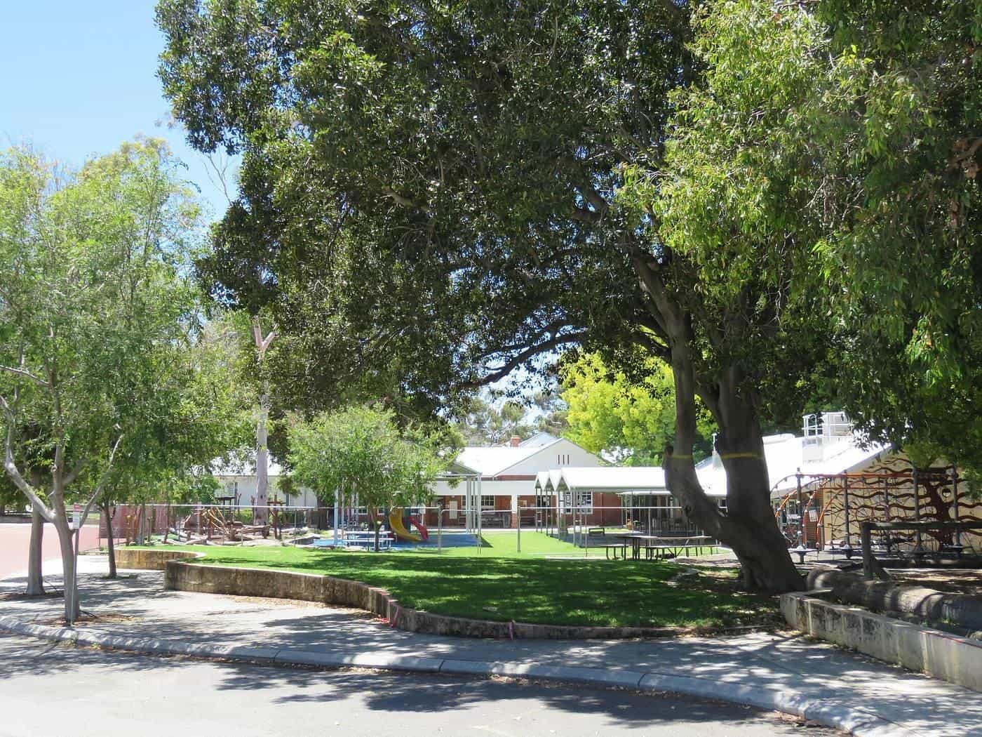 A school courtyard with large shade trees and a lawn